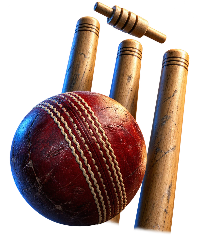 Original illustration of a cricket ball breaking the wicket